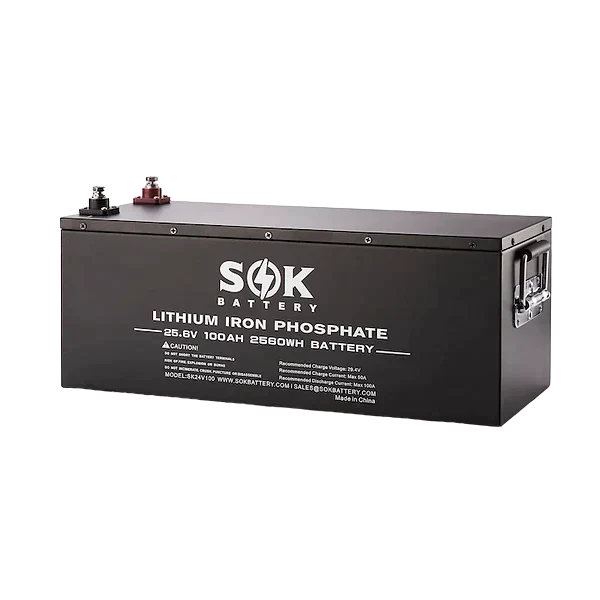 Batterie LifePo4 SOK 24V 100ah